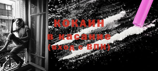 бошки Аркадак