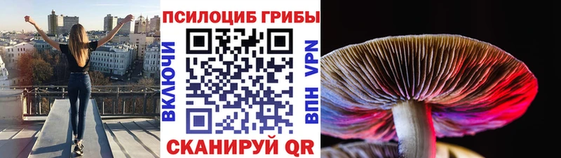 Псилоцибиновые грибы MAGIC MUSHROOMS Кызыл
